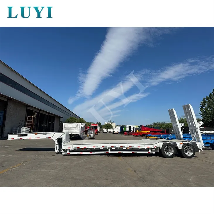 Dwie osi gęsia ciężarówki z niskim łóżkiem